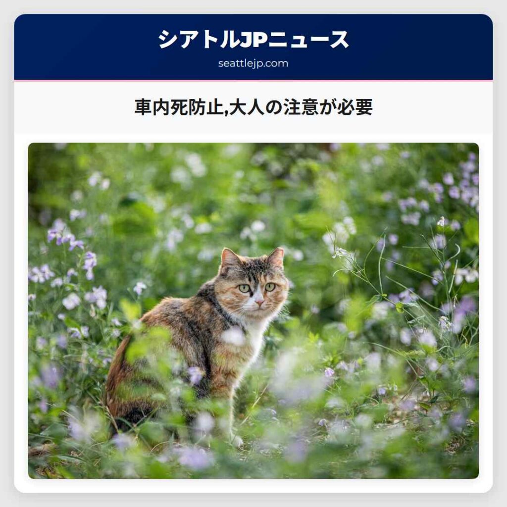 車内死防止,大人の注意が必要
