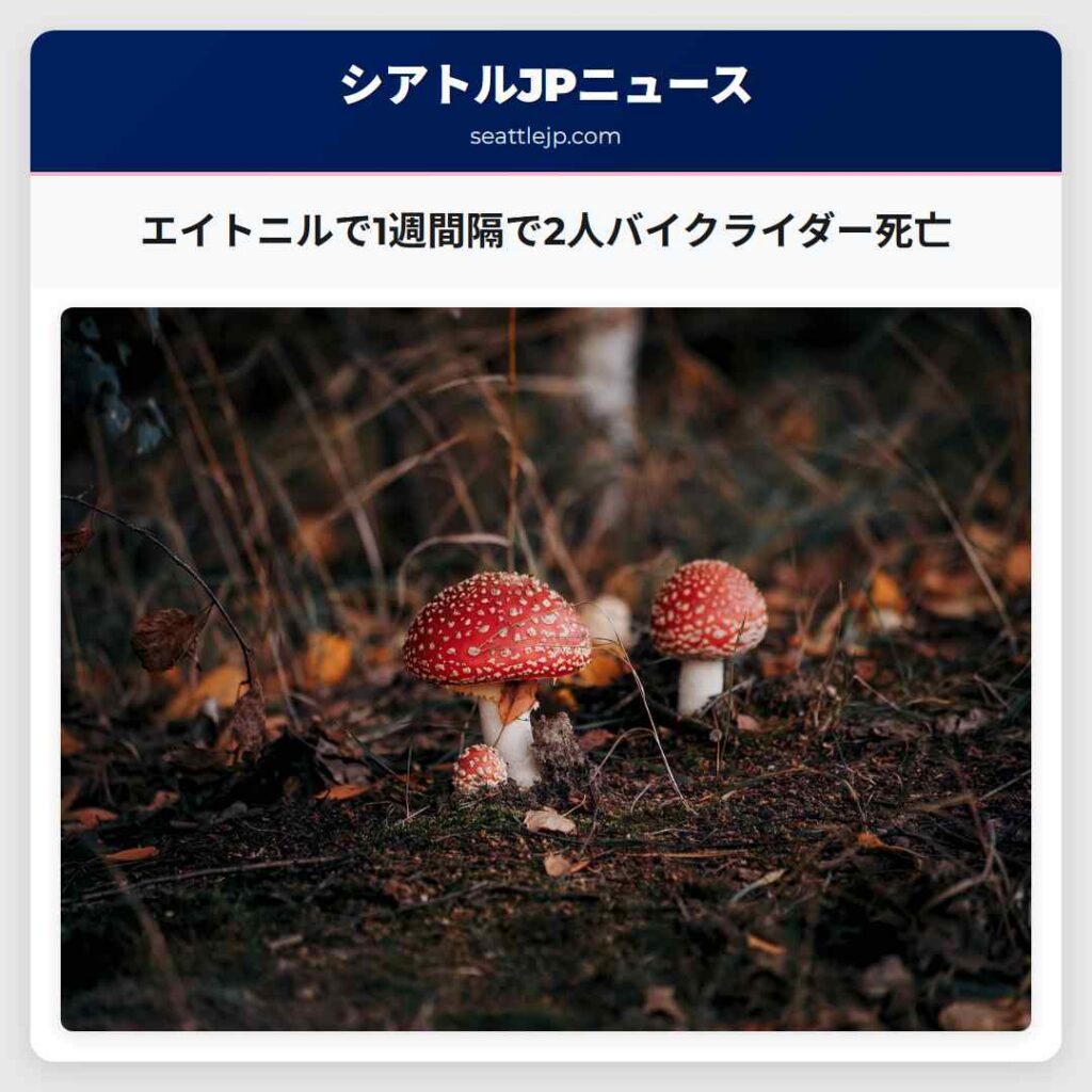 エイトニルで1週間隔で2人バイクライダー死亡