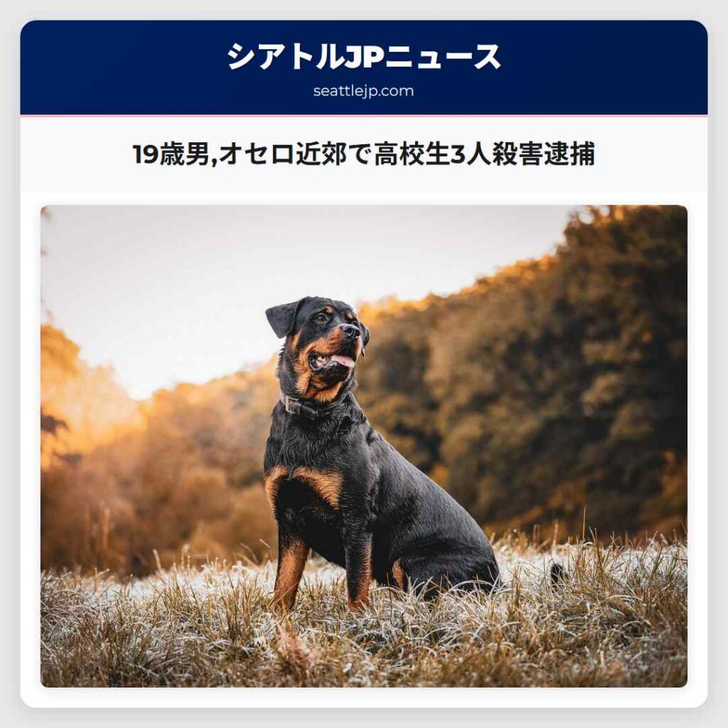 19歳男,オセロ近郊で高校生3人殺害逮捕