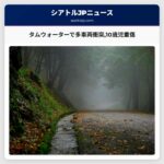 タムウォーターで多車両衝突10歳児重傷