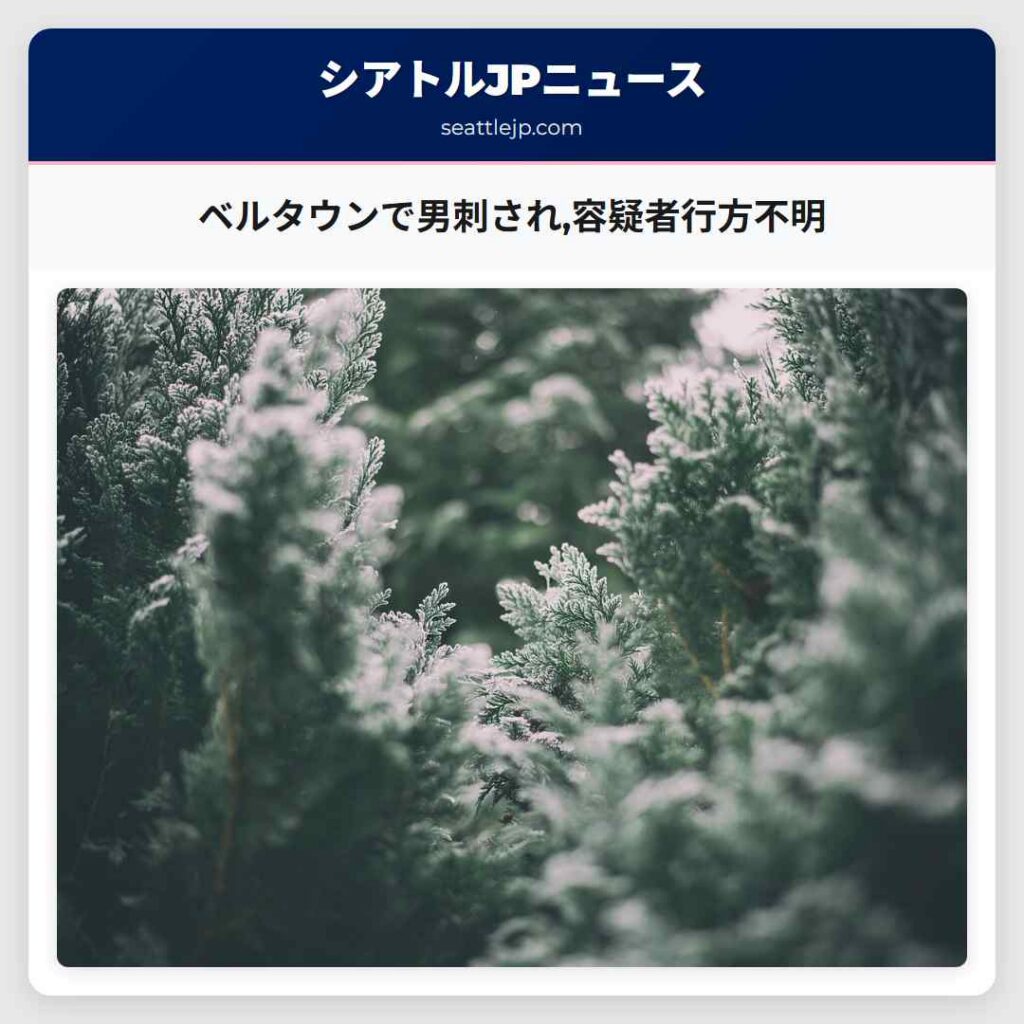 ベルタウンで男刺され,容疑者行方不明