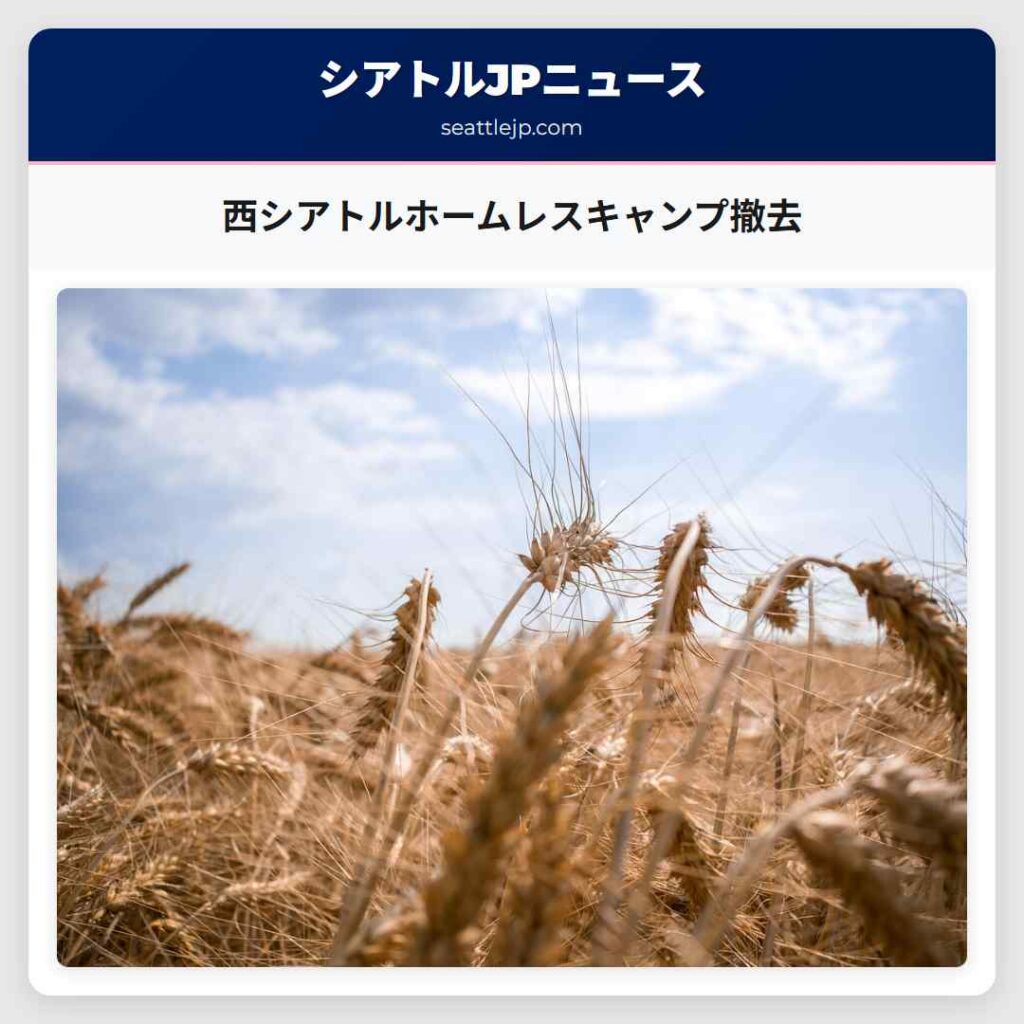 西シアトルホームレスキャンプ撤去