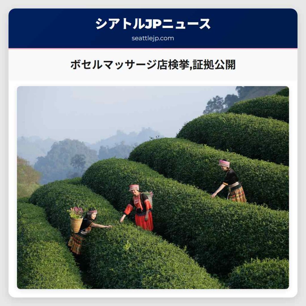 ボセルマッサージ店検挙,証拠公開