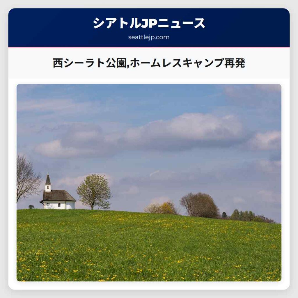 西シーラト公園,ホームレスキャンプ再発