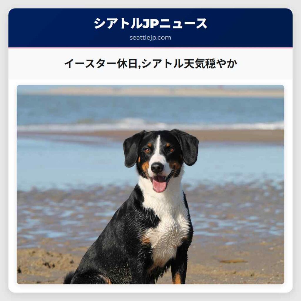 イースター休日,シアトル天気穏やか