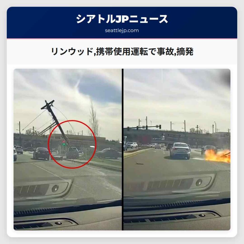 リンウッド,携帯使用運転で事故,摘発