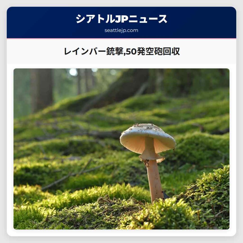 レインバー銃撃,50発空砲回収