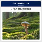 レインバー通り銃撃事件50発の空砲ケース回収シアトル警察が捜査を進める