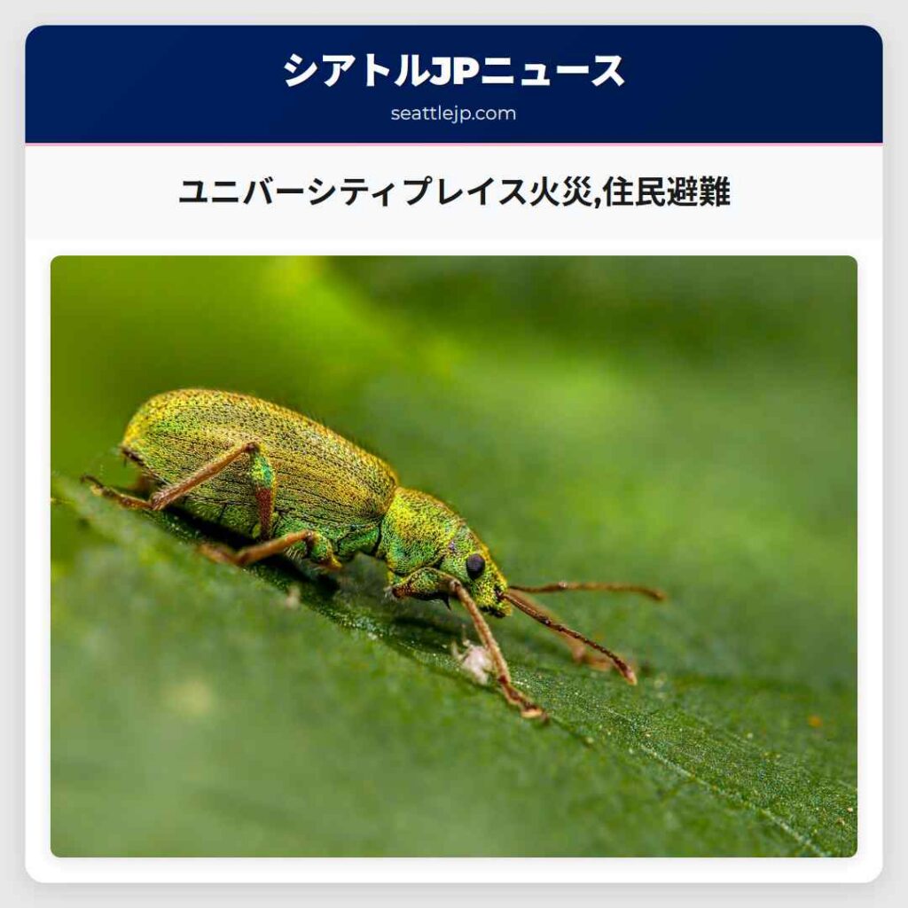 ユニバーシティプレイス火災,住民避難