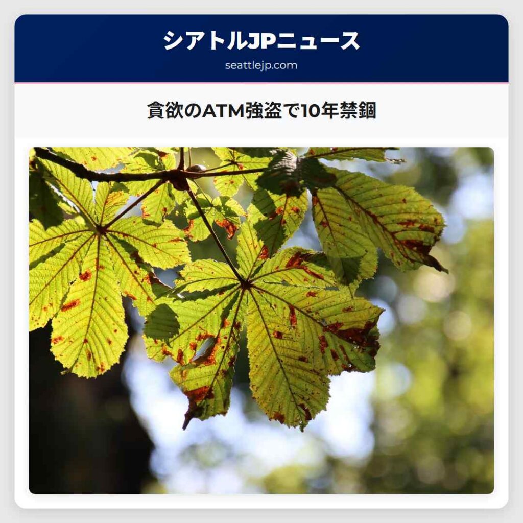 貪欲のATM強盗で10年禁錮