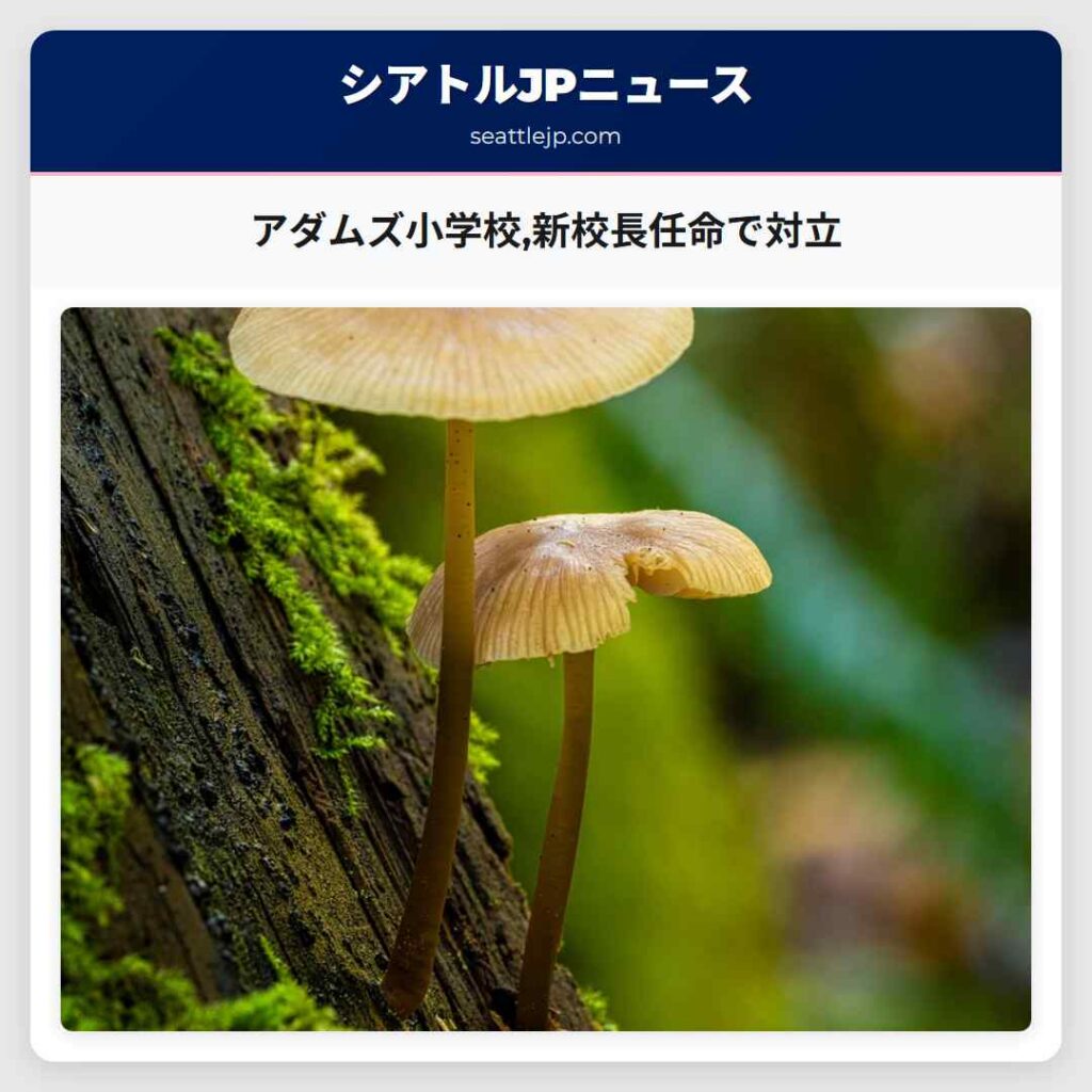 アダムズ小学校,新校長任命で対立