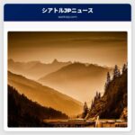 Autographed game-used Michael Jordan card sells for record $4.25M in private sale