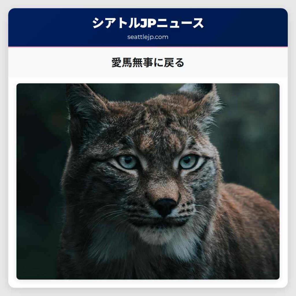 愛馬無事に戻る