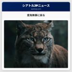 愛馬が無事に戻った