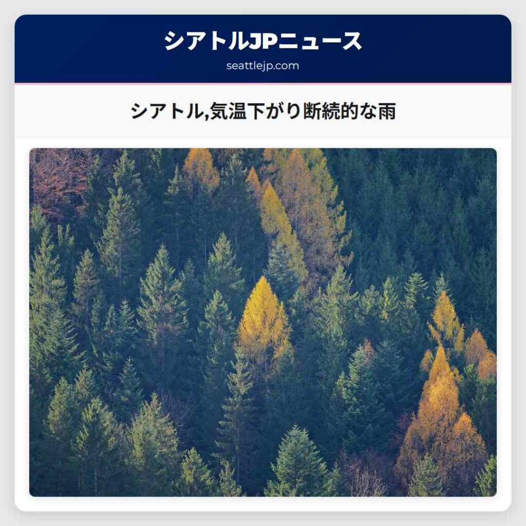 シアトル,気温下がり断続的な雨