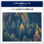 シアトルの天気：気温が下がり週末にかけて断続的な雨