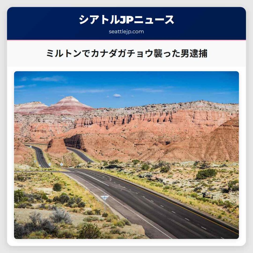 ミルトンでカナダガチョウ襲った男逮捕