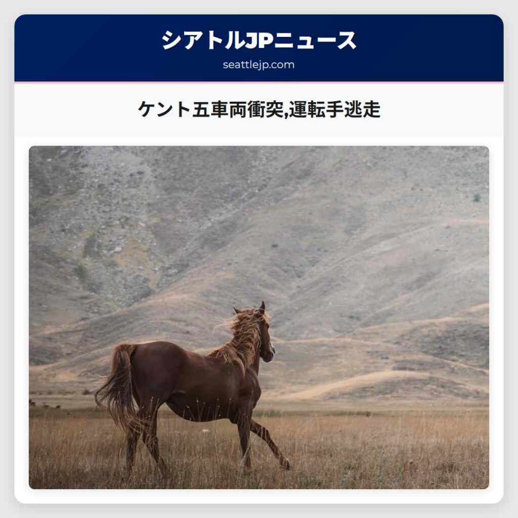 ケント五車両衝突,運転手逃走