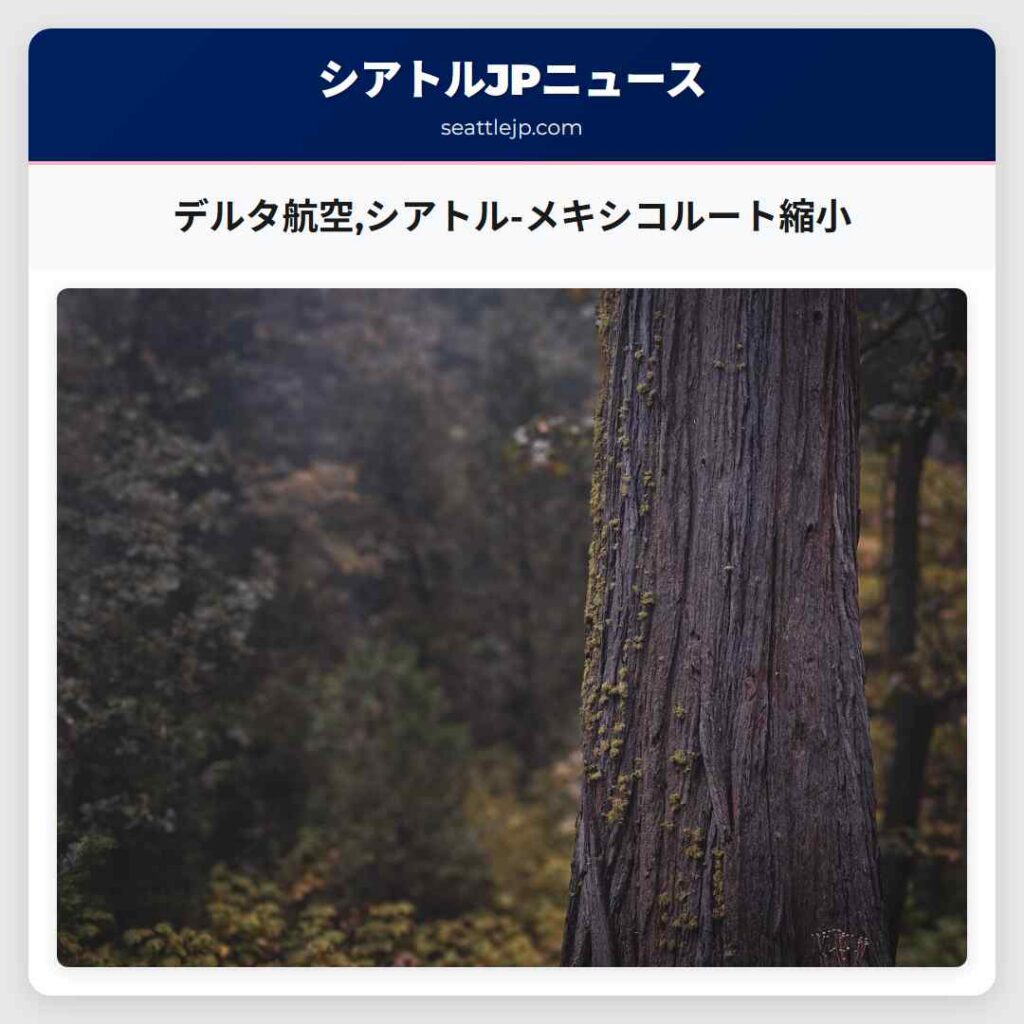 デルタ航空,シアトル-メキシコルート縮小