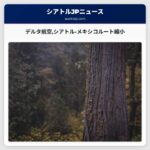 デルタ航空シアトル-メキシコルート縮小