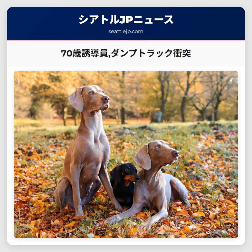 70歳誘導員,ダンプトラック衝突