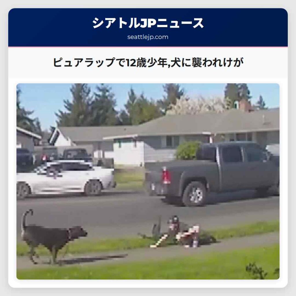 ピュアラップで12歳少年,犬に襲われけが