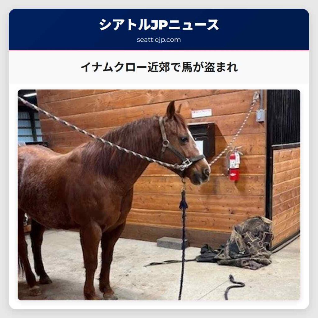 イナムクロー近郊で馬が盗まれ