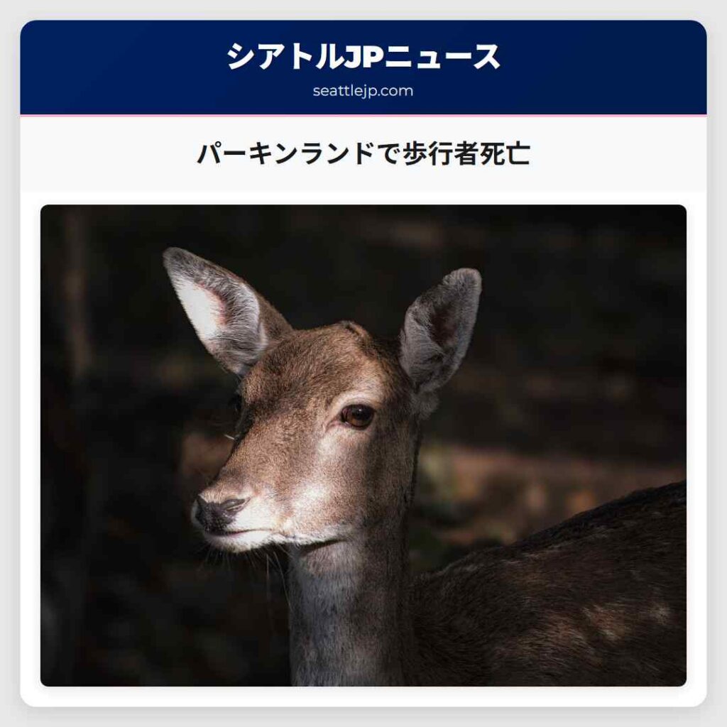 パーキンランドで歩行者死亡