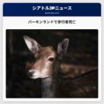 パーキンランドで歩行者死亡