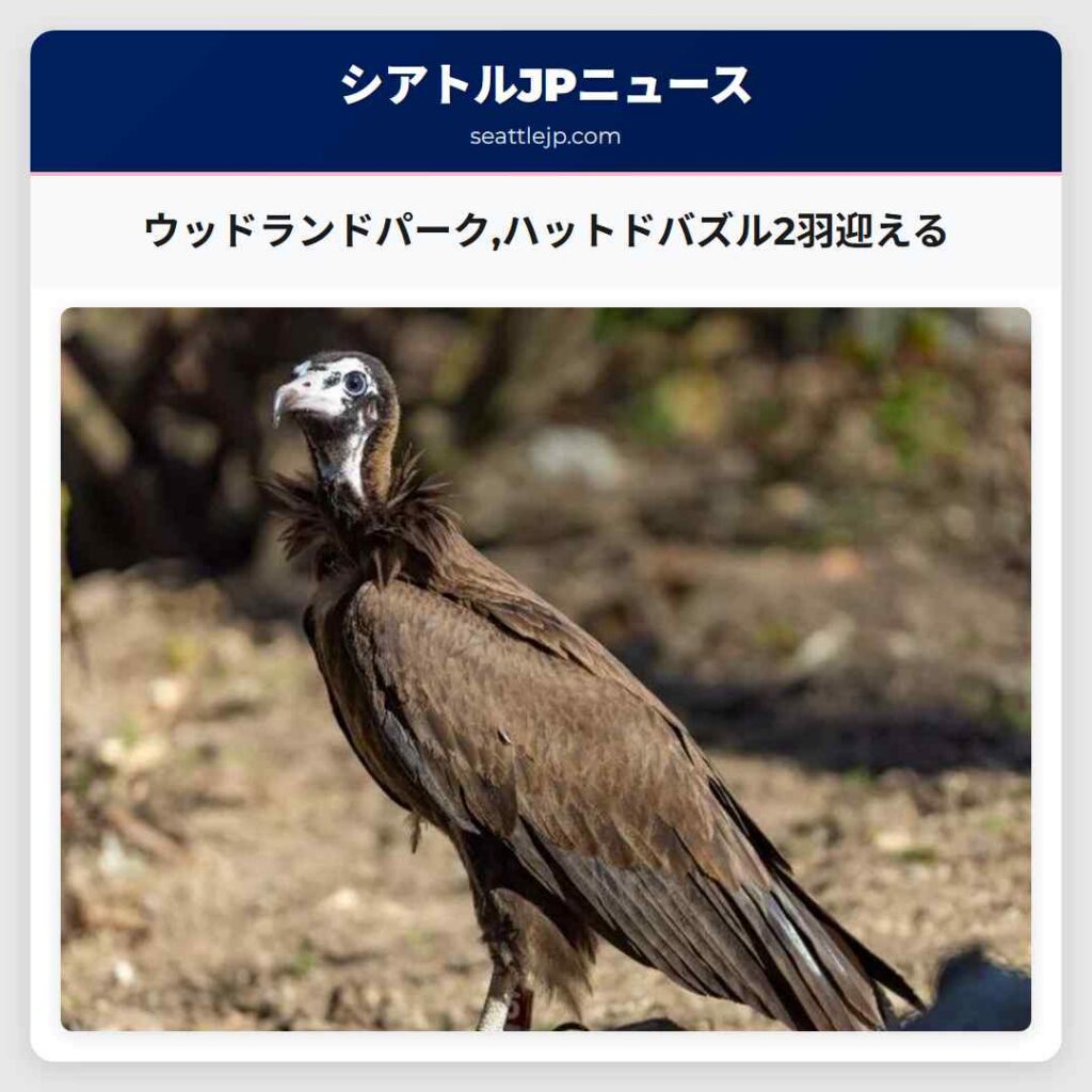 ウッドランドパーク,ハットドバズル2羽迎える