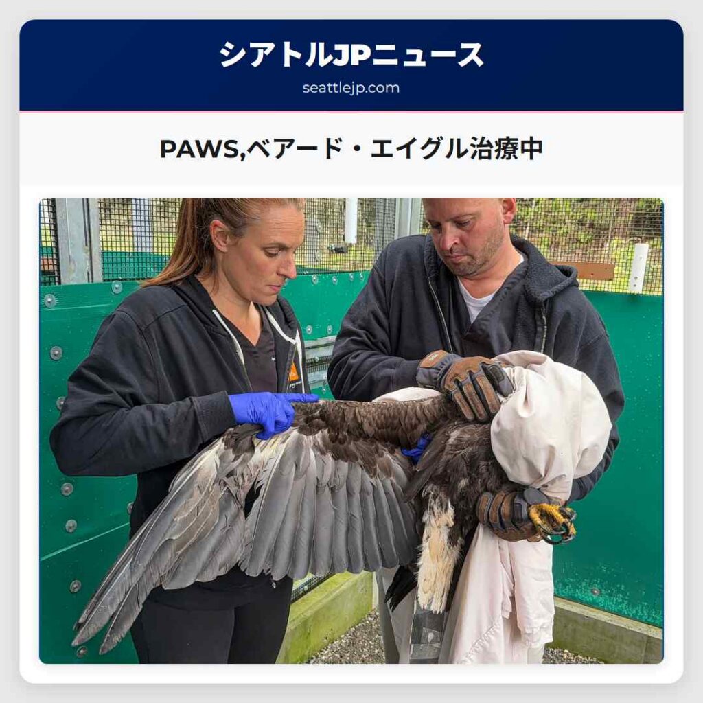 PAWS,ベアード・エイグル治療中