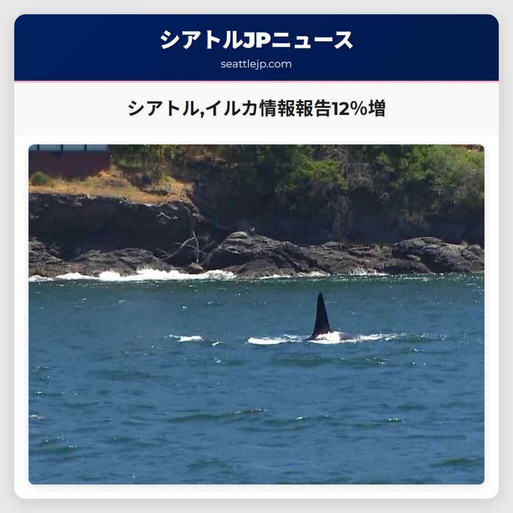 シアトル,イルカ情報報告12％増