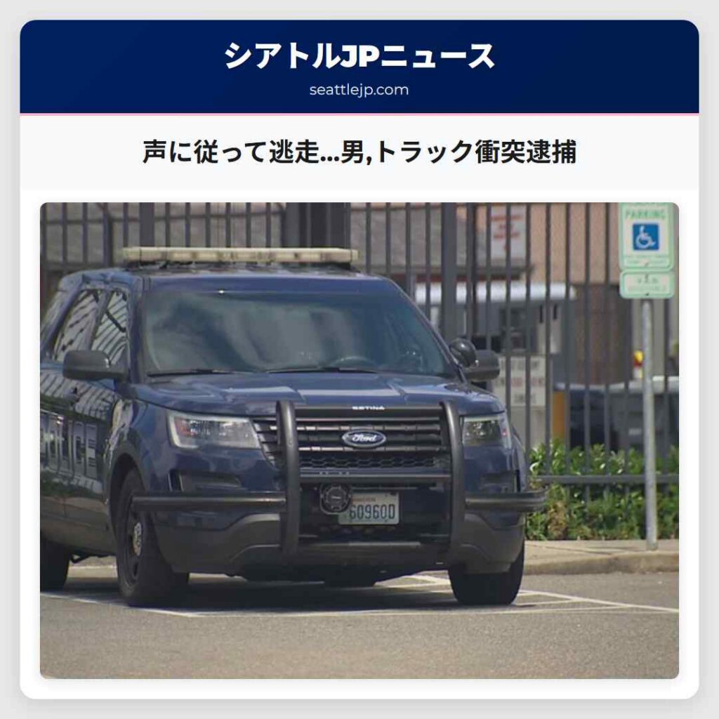 声に従って逃走…男,トラック衝突逮捕