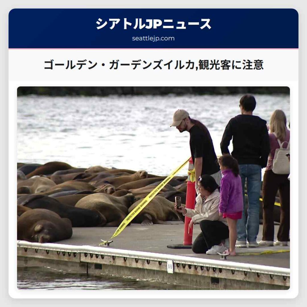 ゴールデン・ガーデンズイルカ,観光客に注意