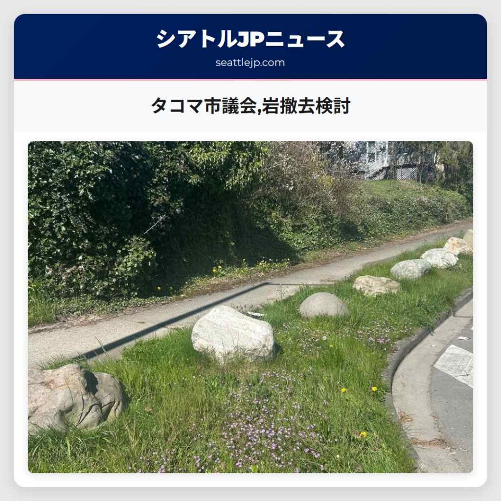 タコマ市議会,岩撤去検討