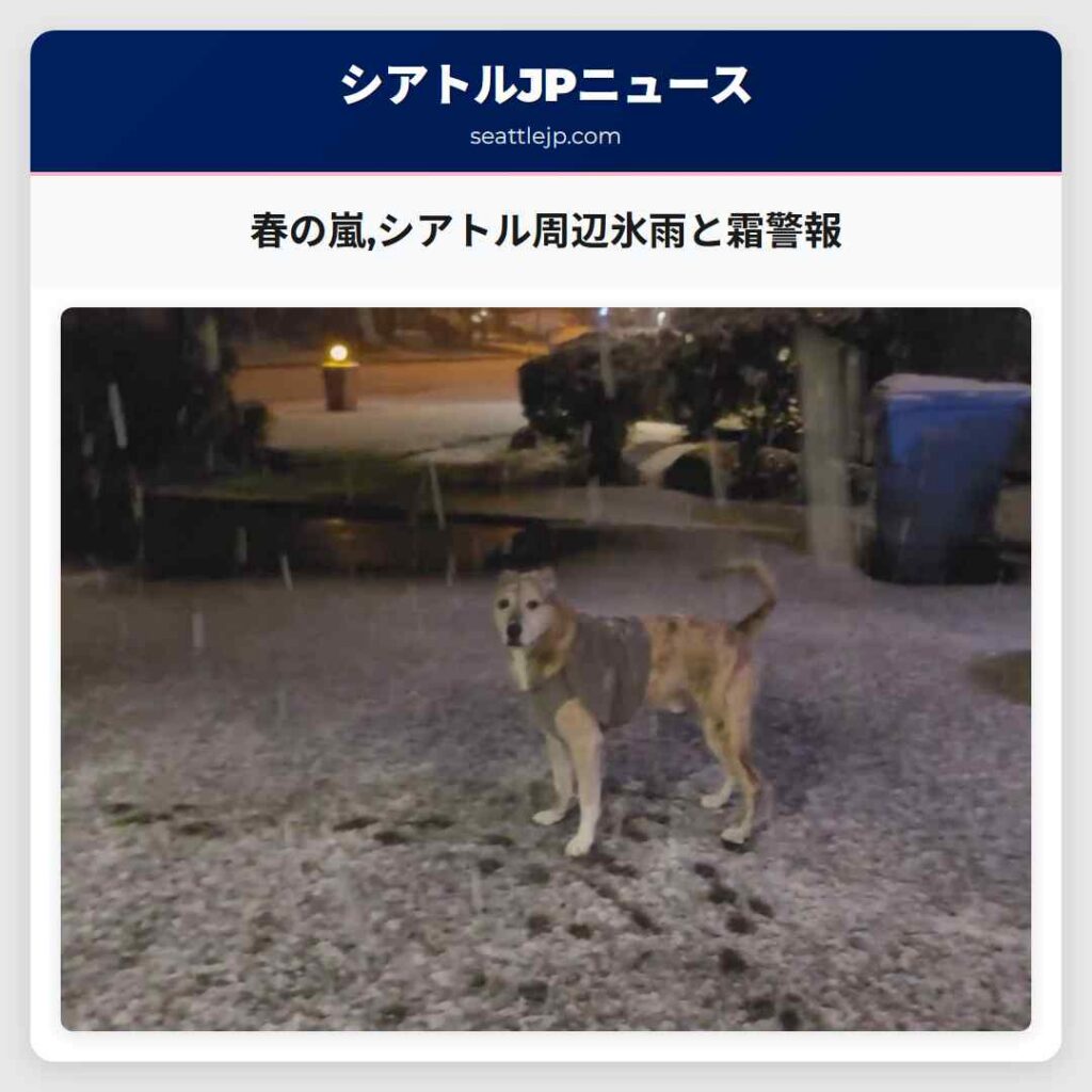 春の嵐,シアトル周辺氷雨と霜警報