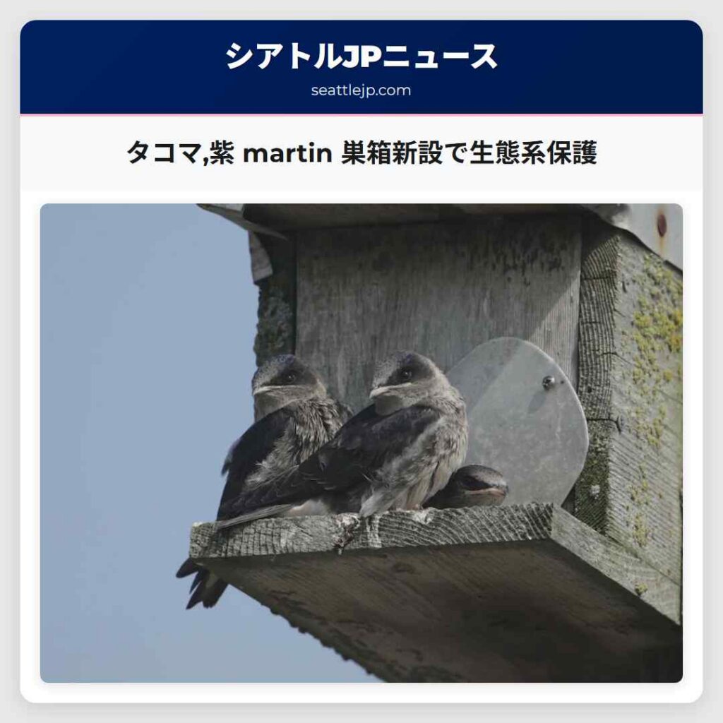 タコマ,紫 martin 巣箱新設で生態系保護