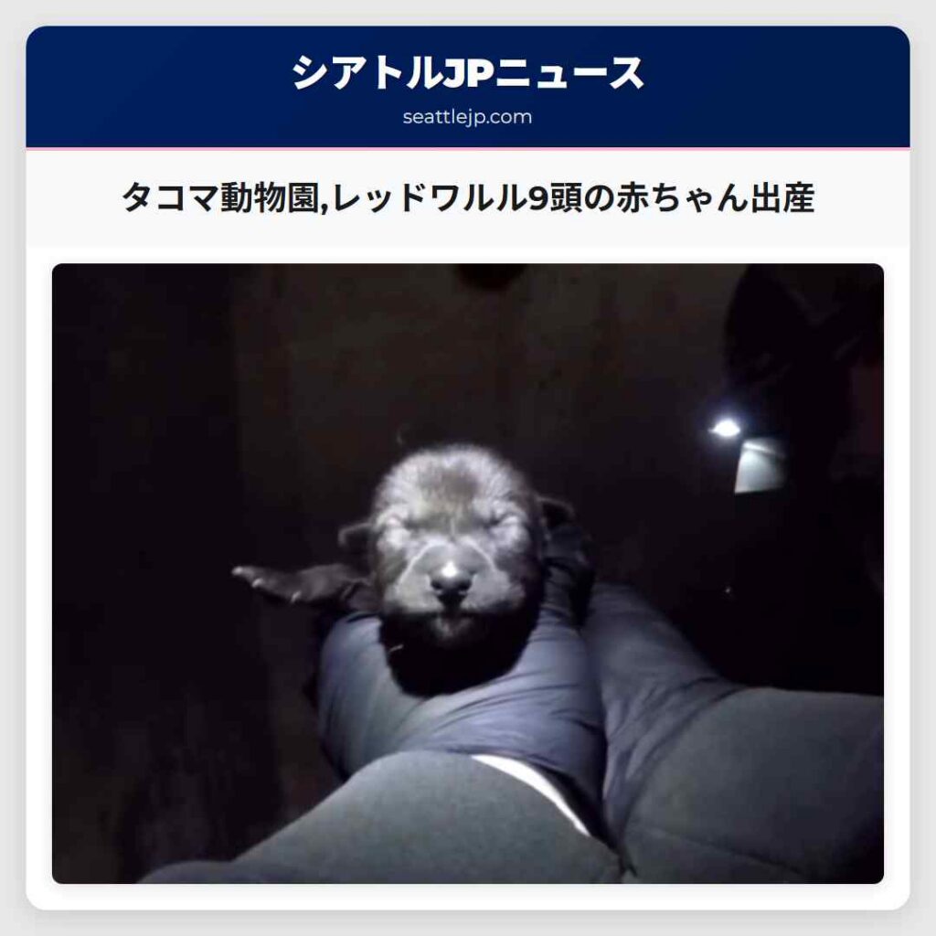 タコマ動物園,レッドワルル9頭の赤ちゃん出産