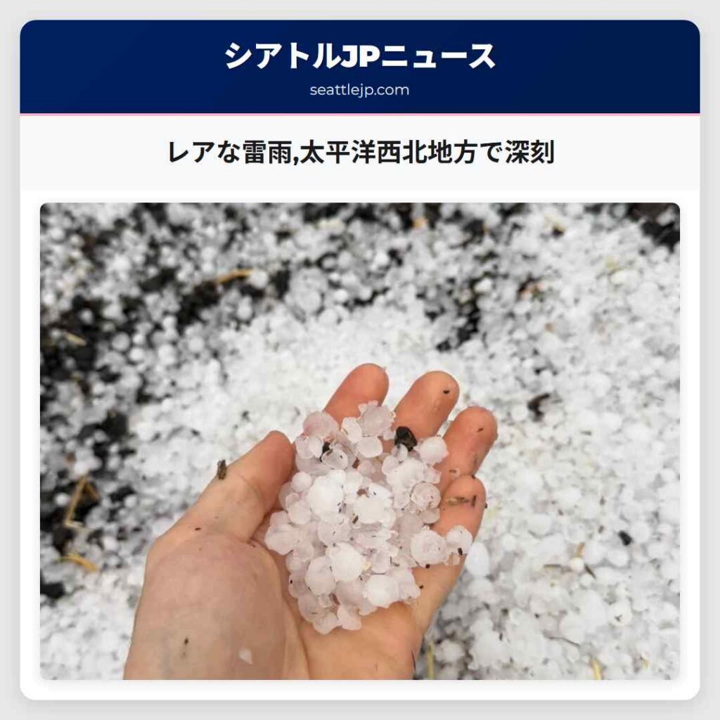 レアな雷雨,太平洋西北地方で深刻