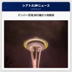 デンバー空港飛行機が人物衝突