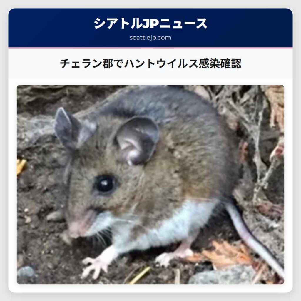 チェラン郡でハントウイルス感染確認