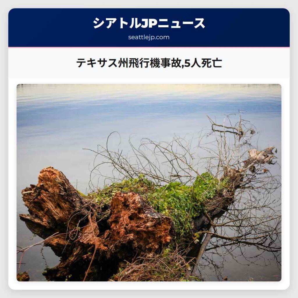 テキサス州飛行機事故,5人死亡