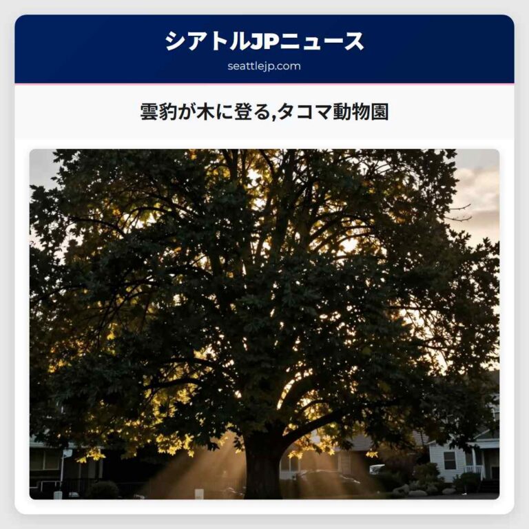 雲豹が木に登るタコマ動物園