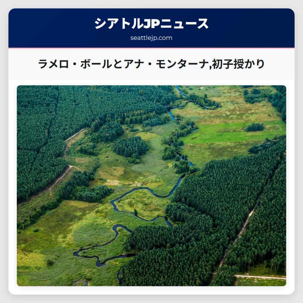 ラメロ・ボールとアナ・モンターナ,初子授かり