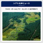 ラメロ・ボールとアナ・モンターナ初子授かり