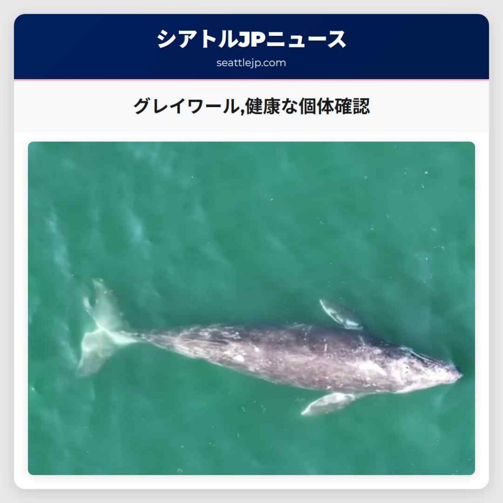 グレイワール,健康な個体確認