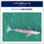 グレイワール健康な個体確認