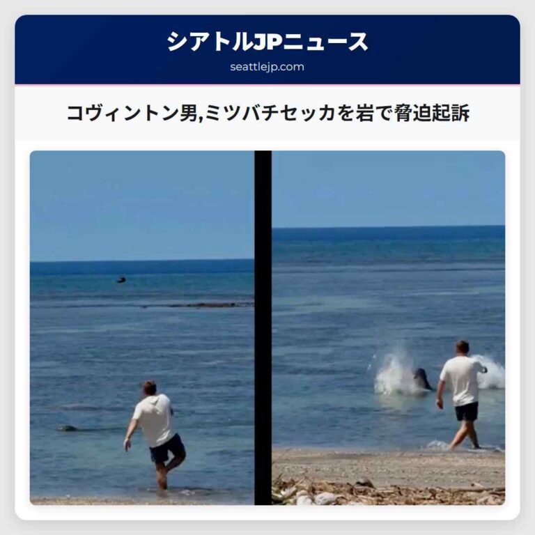 コヴィントン男ミツバチセッカを岩で脅迫起訴