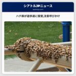 ハチ群が遊歩道に設営注意呼びかけ