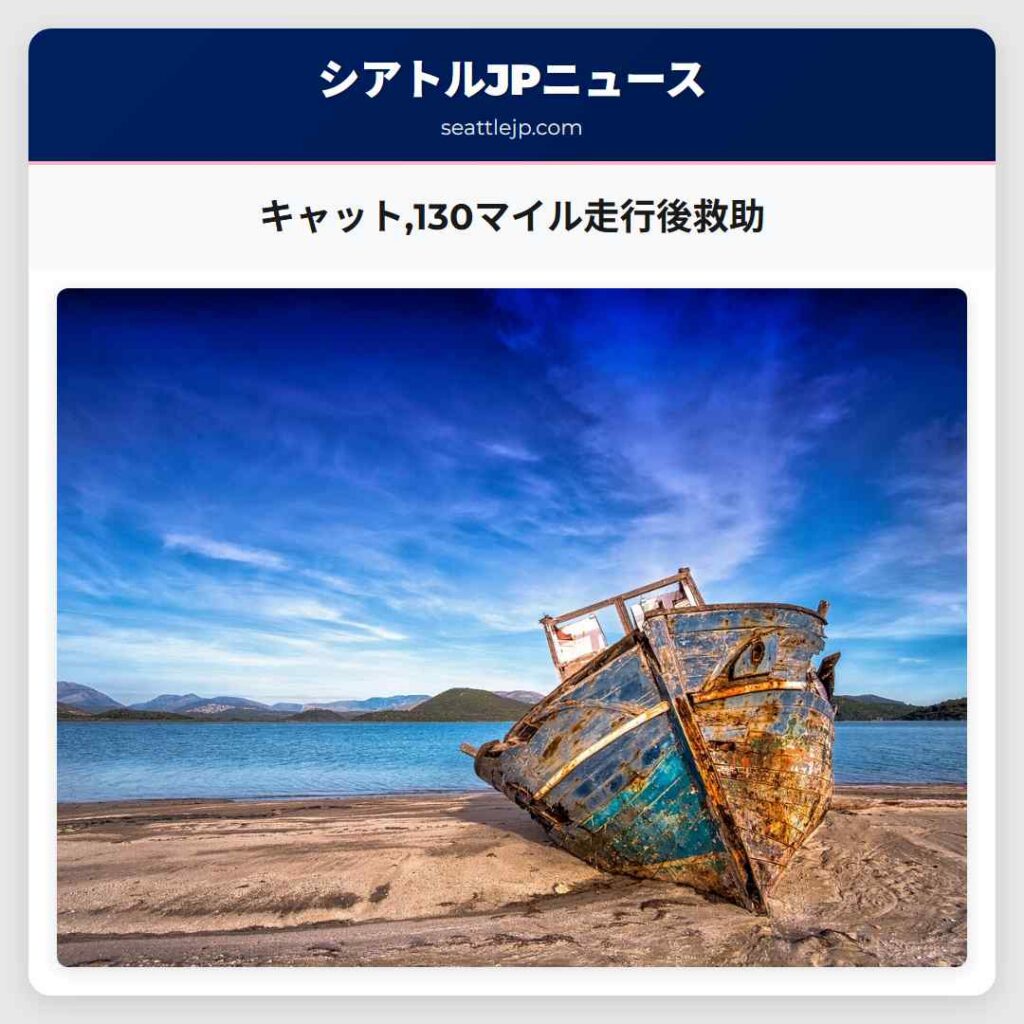 キャット,130マイル走行後救助